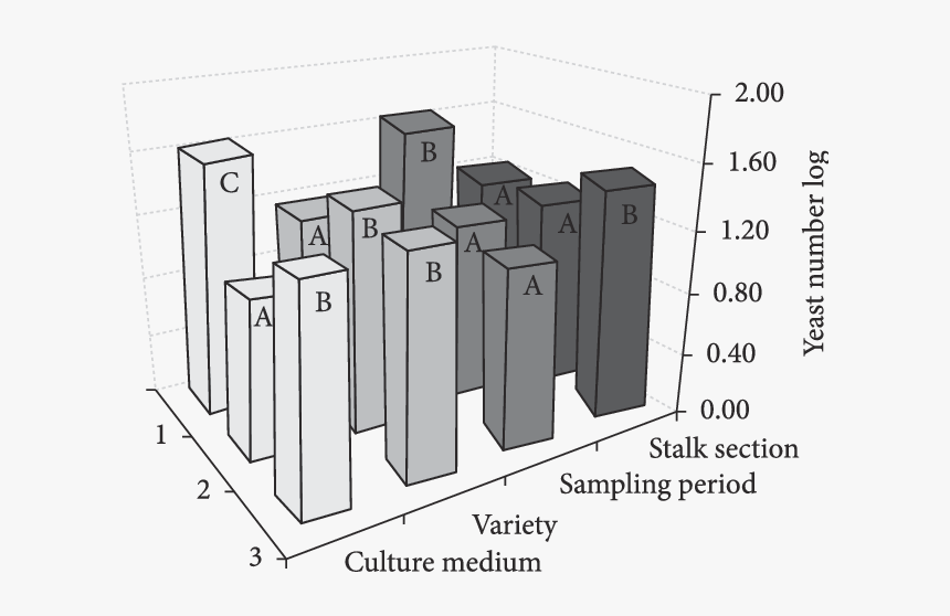 Diagram, HD Png Download