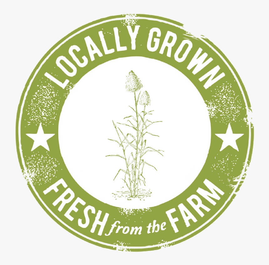 Sugarcane - Farm Fresh, HD Png Download