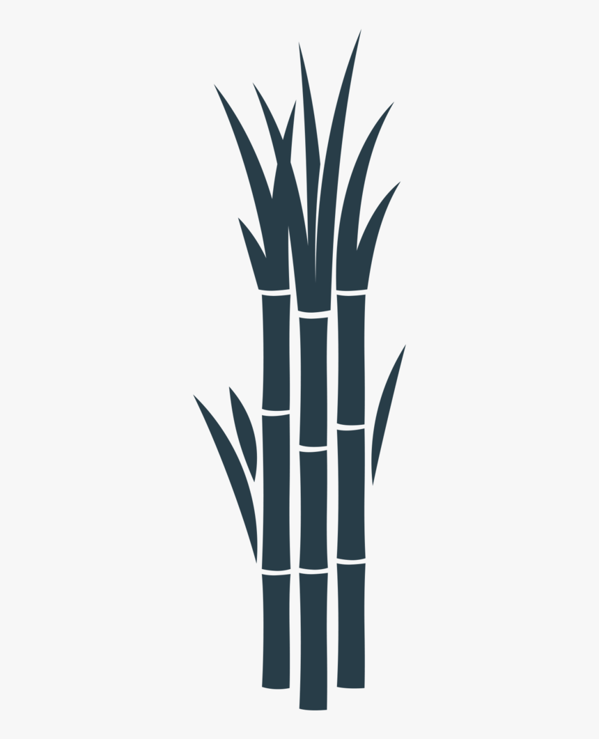 Sugarcane 01 - Illustration, HD Png Download