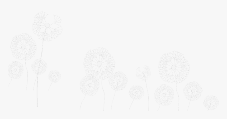 Sketch, HD Png Download