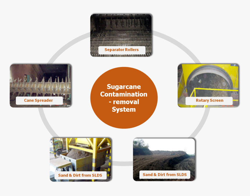 สิ่ง ป น เปื้อน อ้อย, HD Png Download