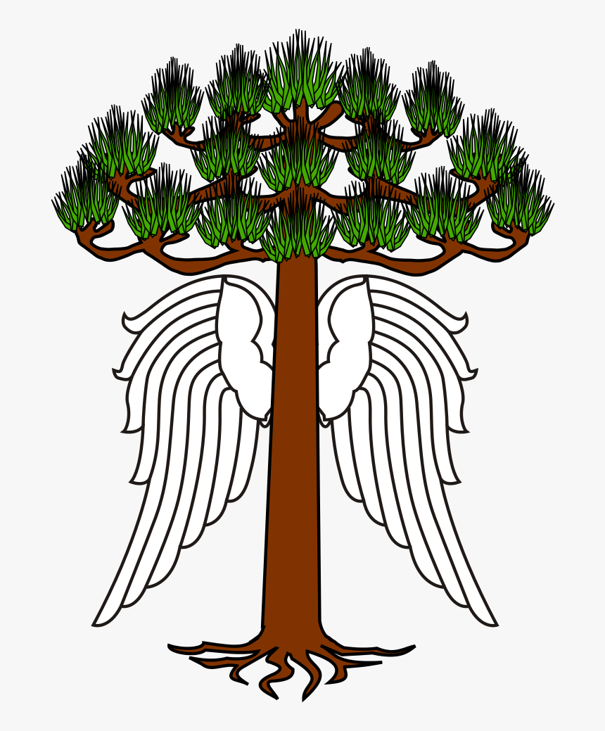 Araucária Png, Transparent Png