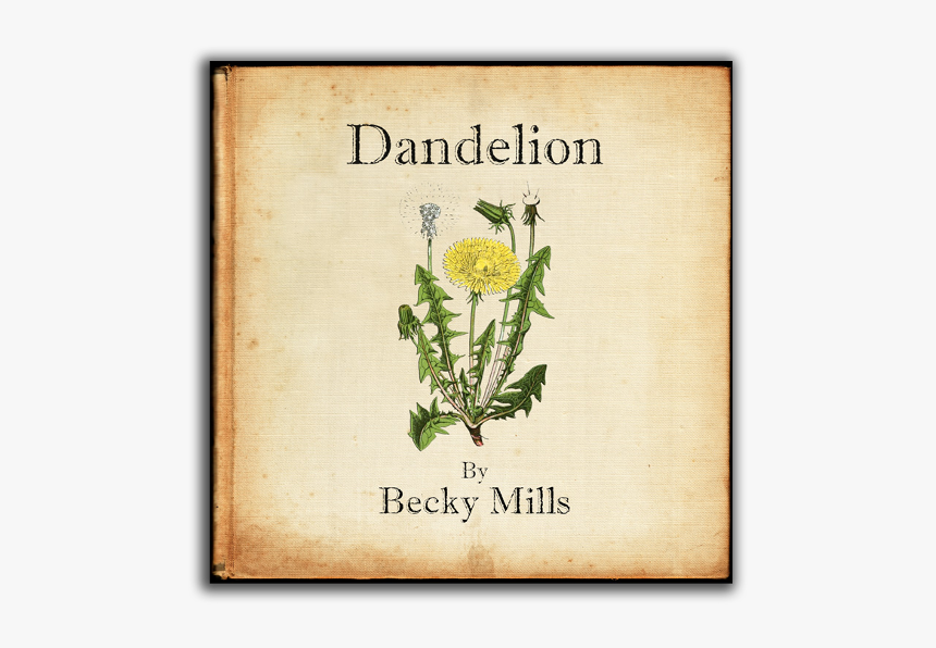 Becky Mills Dandelion, HD Png Download