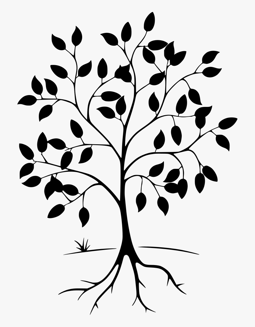 Owl In A Tree Drawing, HD Png Download