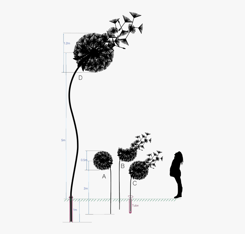 Dandelions Steel, HD Png Download