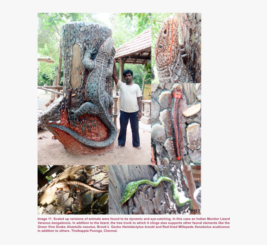 Snake Eye Png, Transparent Png