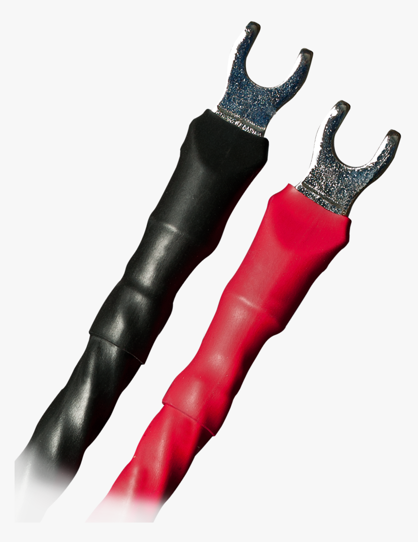 Tights, HD Png Download
