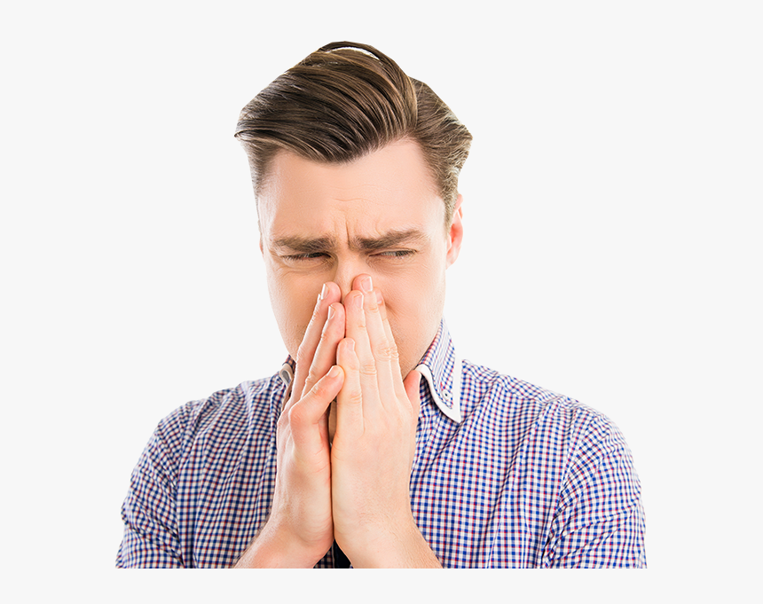 Face,nose,facial - Transparent Bad Smell Png, Png Download