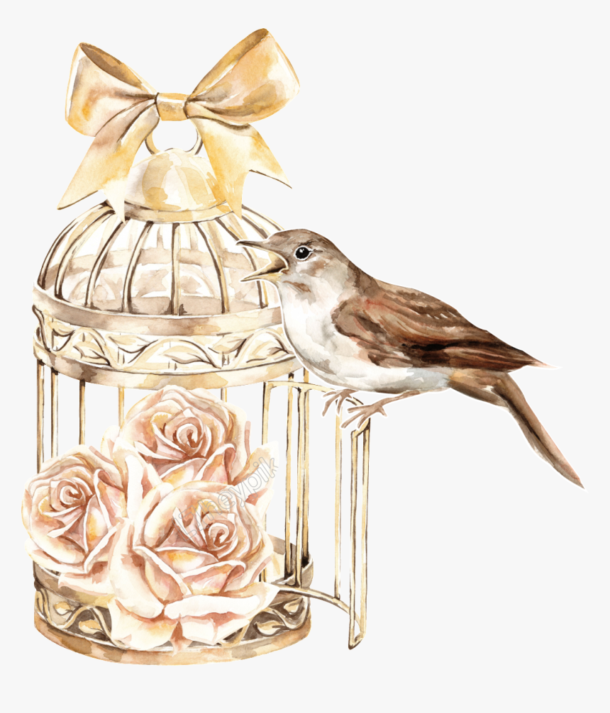 Classical Bird Cage Plant - Birdcage Anime Png, Transparent Png