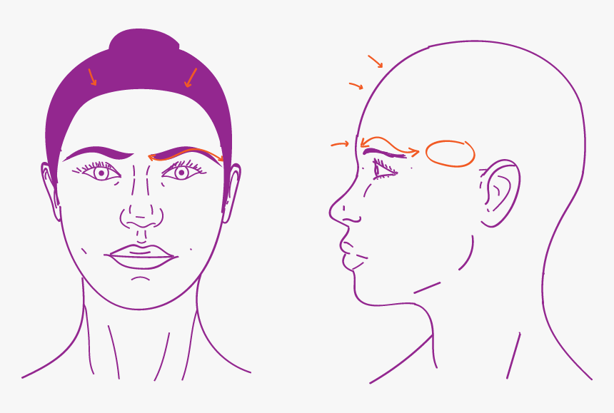 Upper Face Procedures In Facial Feminization Surgery - Illustration, HD Png Download