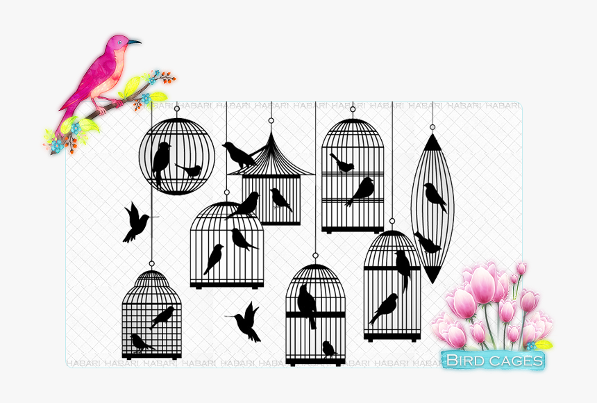 Bird Png Download - Silhouette Of A Bird Cage, Transparent Png