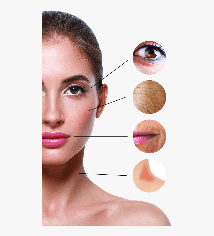 Woman - Wrinkle, HD Png Download