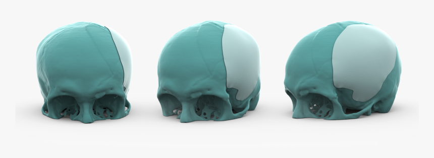 Transparent Baner Png - Skull, Png Download