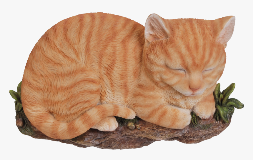 Rl Sleeping Cat Ginger B - Tabby Cat, HD Png Download