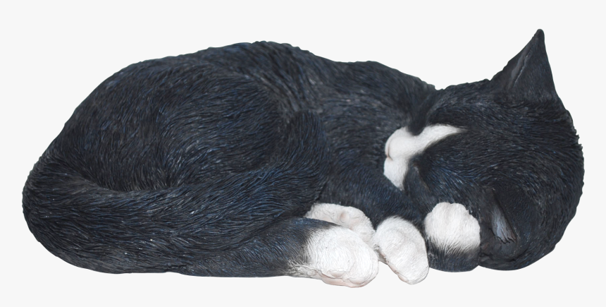 Transparent Sleeping Cat Png - Transparent Png Cat Sleeping No Background, Png Download