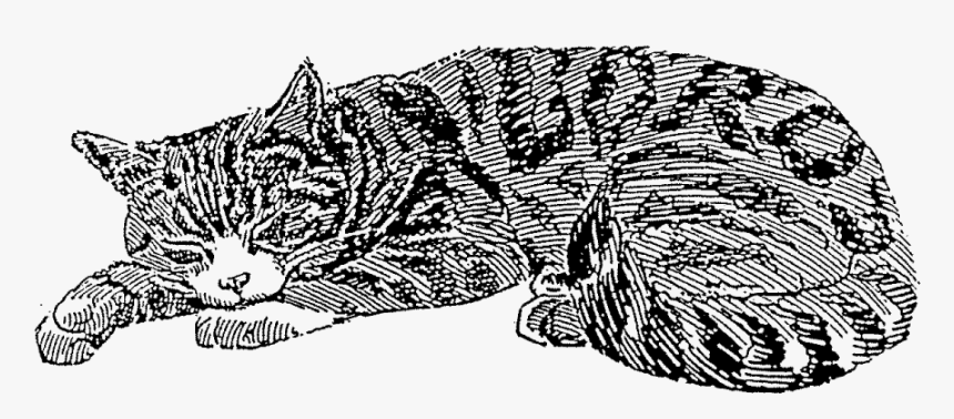 Sleeping Cat Rubber Stamp 
 Title Sleeping Cat Rubber - Sleeping Cat, HD Png Download