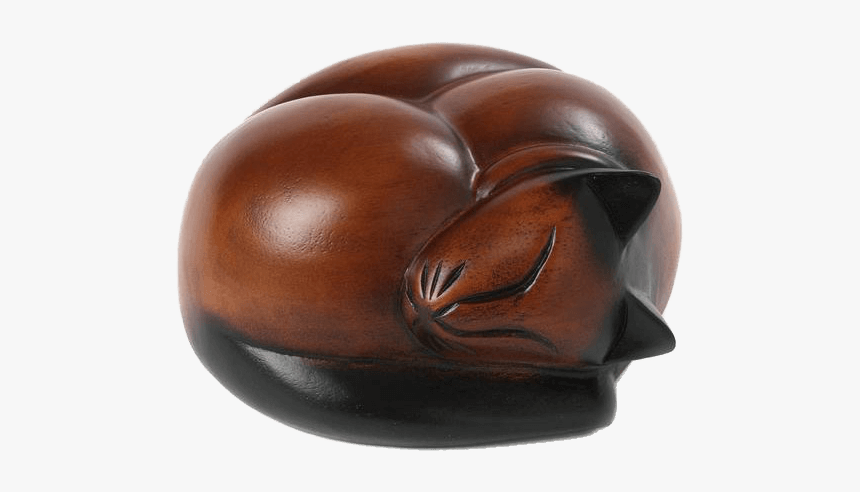 Cat, HD Png Download