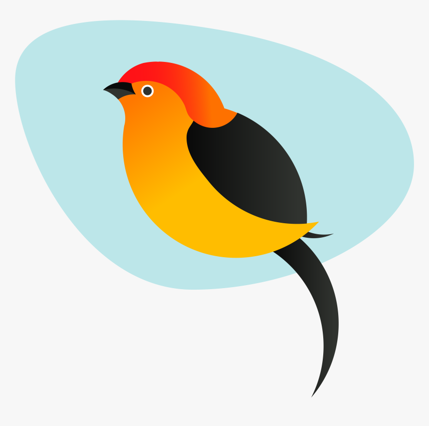 Pipra Is A Boutique Indian Company On A Mission To - Robin, HD Png Download