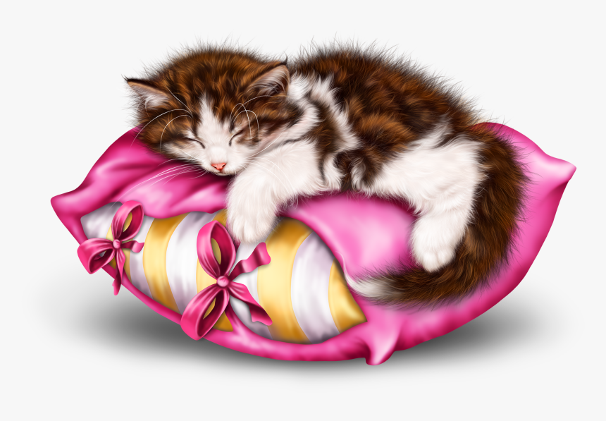 Schönen Abend Angenehme Nachtruhe, HD Png Download