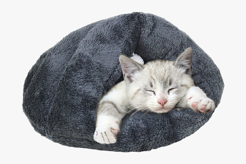 Deluxe Sleeping Toy Cave Bed For Cats Or Puppy - Cat Grabs Treat, HD Png Download
