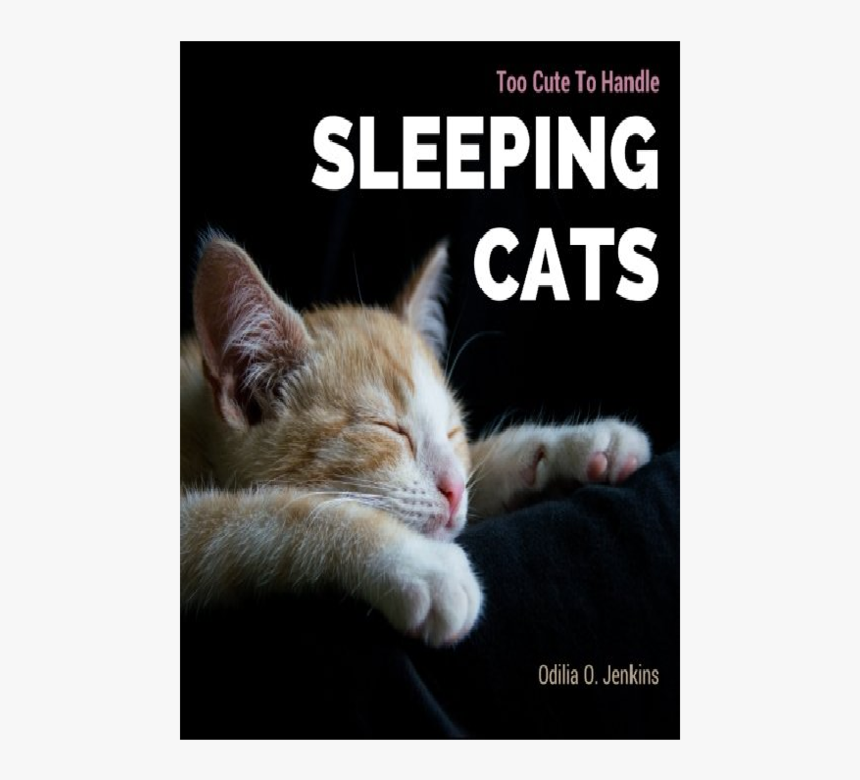 Sweet Cats Quotes, HD Png Download