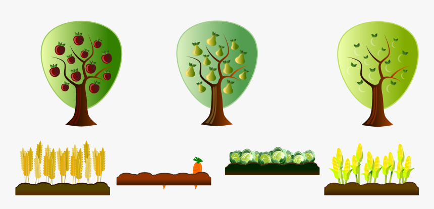 Sunrise Clipart Agriculture - Farm Crops Clipart, HD Png Download