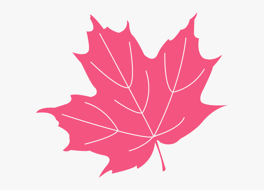 Holly Leaf Png, Transparent Png