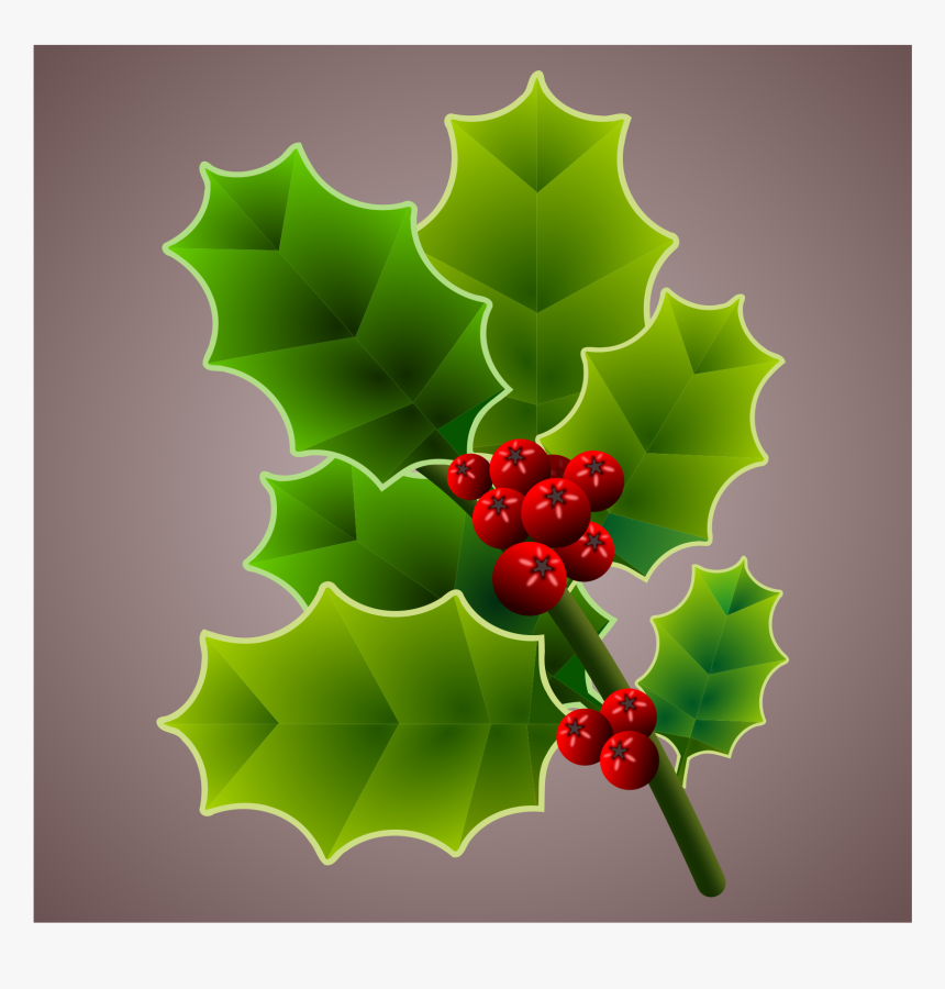 Holly Branch 3 Clip Arts - Portable Network Graphics, HD Png Download