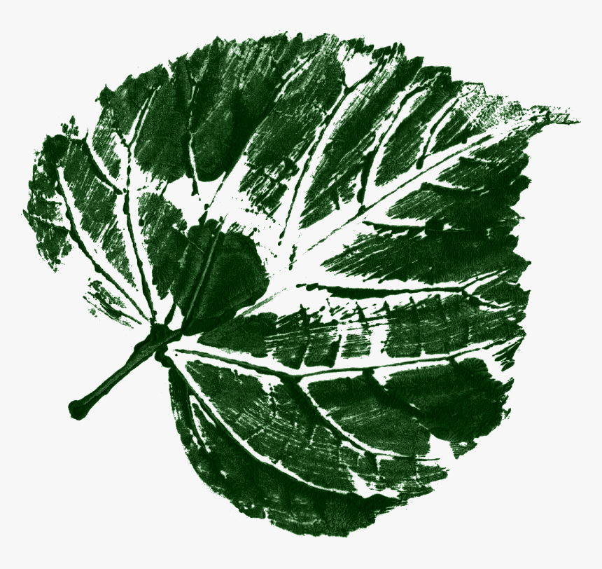 Tree, HD Png Download