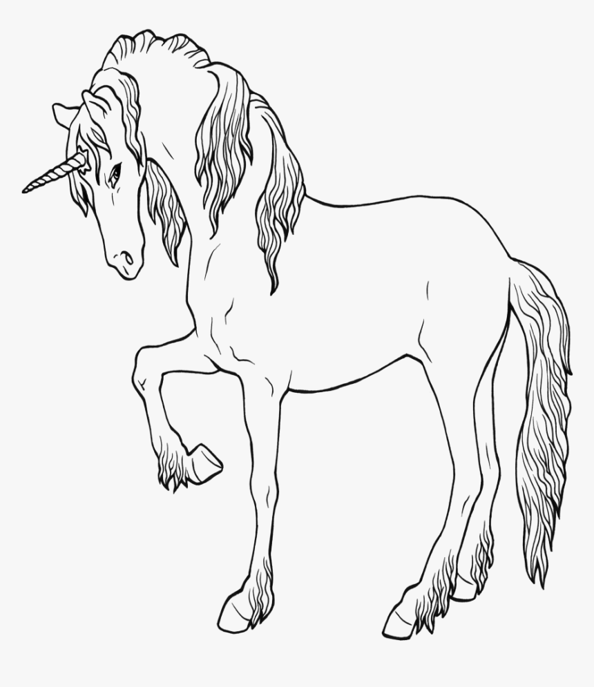 Unicorn Ausmalbild Drawing Coloring Book Dibujo De - Line Art, HD Png Download
