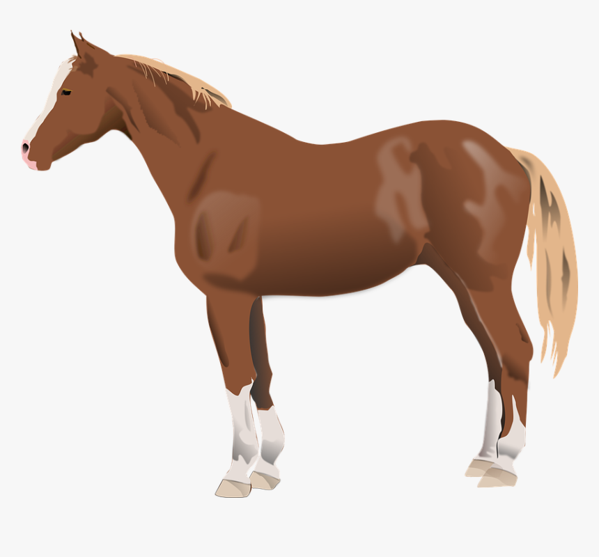 Horse, Animal, Farm - Qui Suis Je Les Animaux, HD Png Download