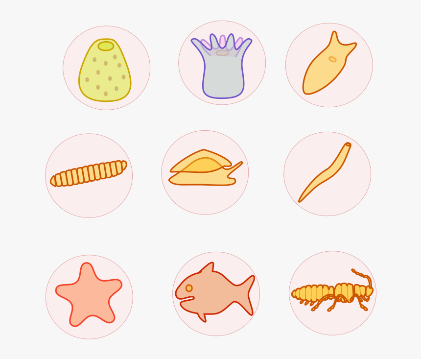 Transparent Animales Png - Porta Dvd, Png Download