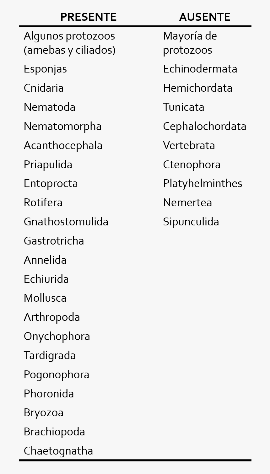 Quitina En Animales - Polar Coordinates Slope Equation, HD Png Download