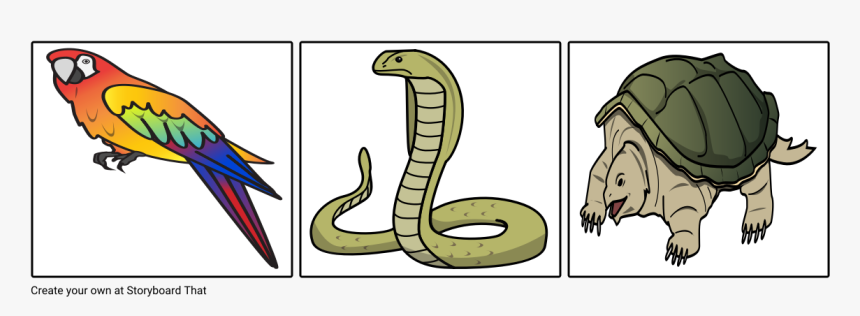 Serpent, HD Png Download