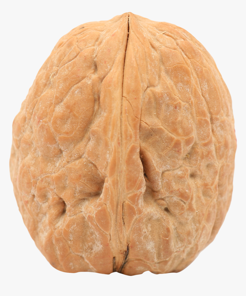 Walnut Png - Single Walnut Png, Transparent Png