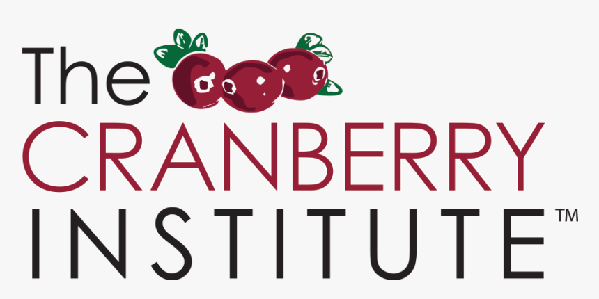 Home - Guinea Pigs, HD Png Download