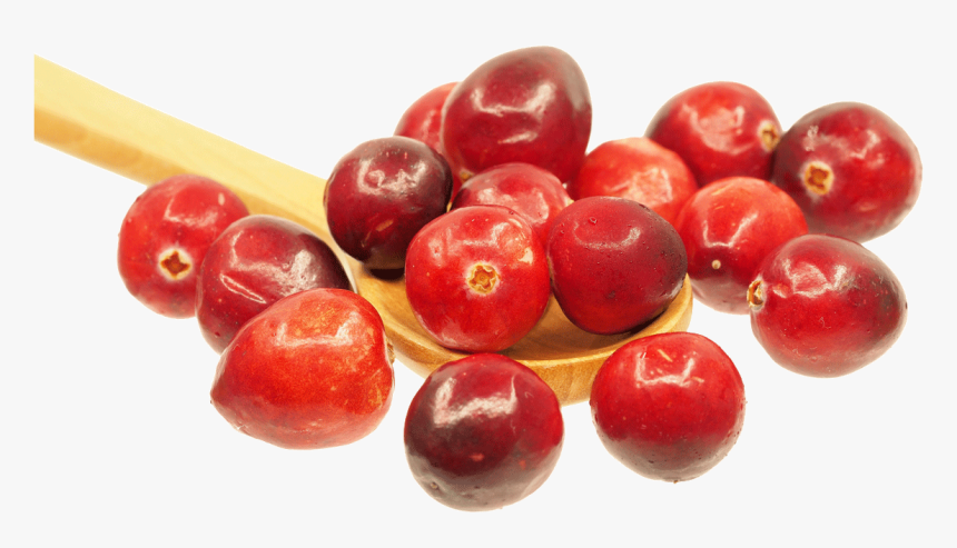Cranberries In A Spoon - Cranberry Detox Health Benefits, HD Png Download