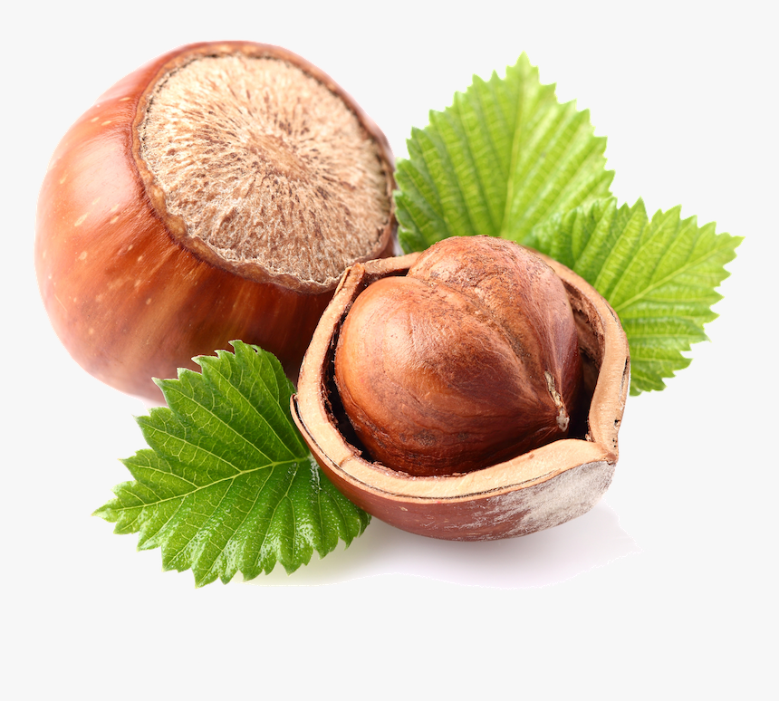Transparent Walnuts Png - Hazelnut With Transparent Background, Png Download
