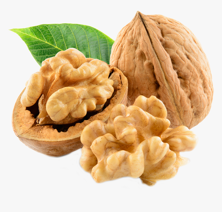 Walnut Dry Fruits, HD Png Download