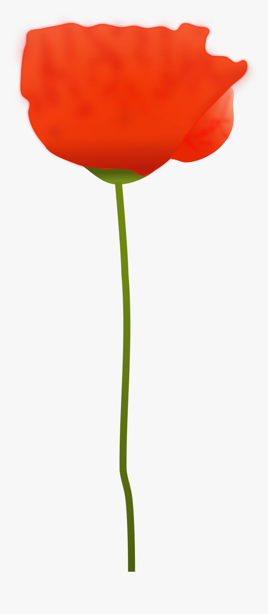 Clipart - Remembrance Single Clipart Poppy, HD Png Download