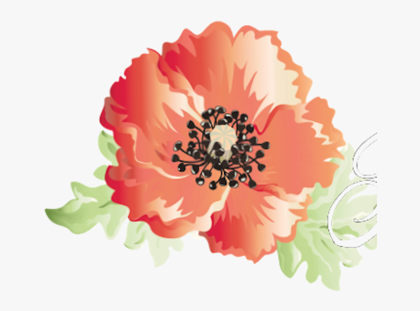 Amapola Png, Transparent Png