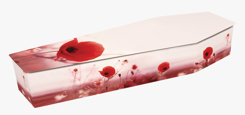 Poppy Field, HD Png Download