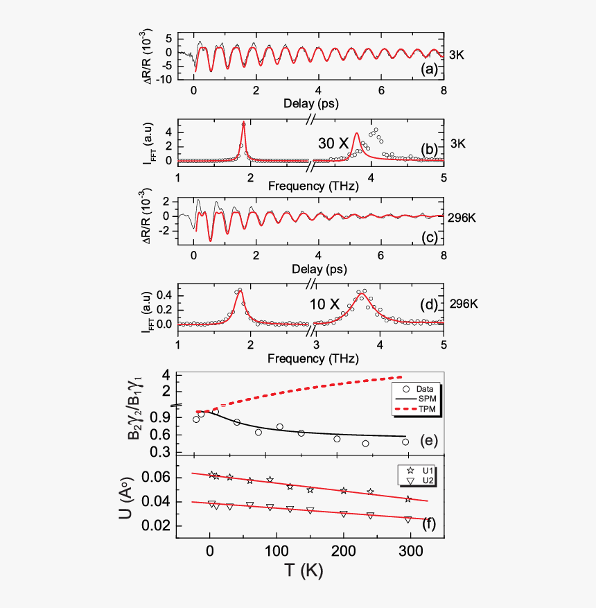 Document, HD Png Download
