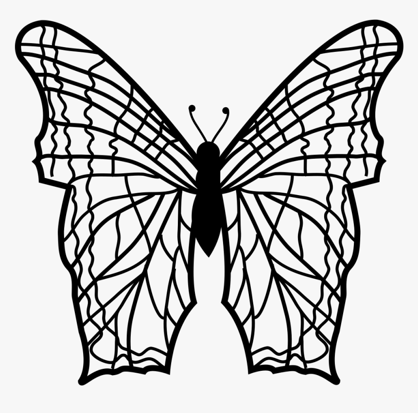 Butterfly With Complex Thin Lines Pattern Wings From, HD Png Download