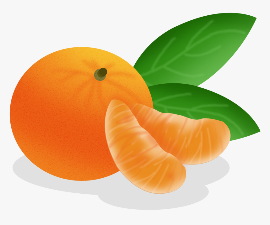 Cartoon Hand Drawn Fruit Food Png And Psd - Tangerine Cartoon, Transparent Png