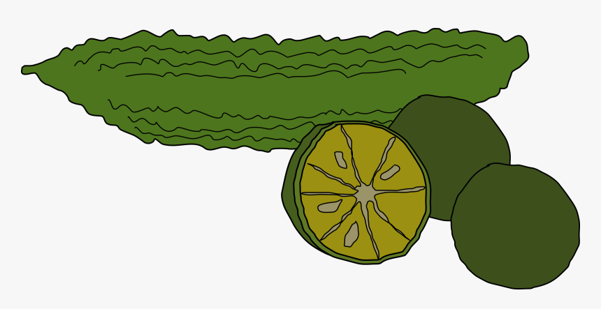 Bitter Gourd Clipart Png, Transparent Png