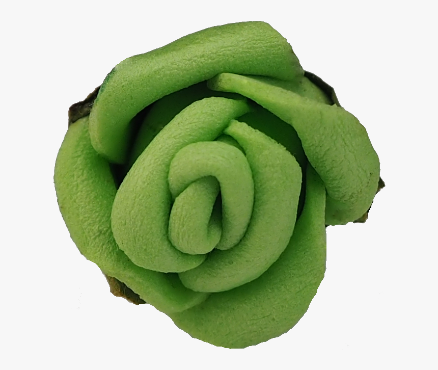 Garden Roses, HD Png Download