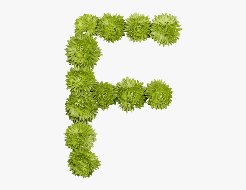 Green Flower Font - Grass, HD Png Download