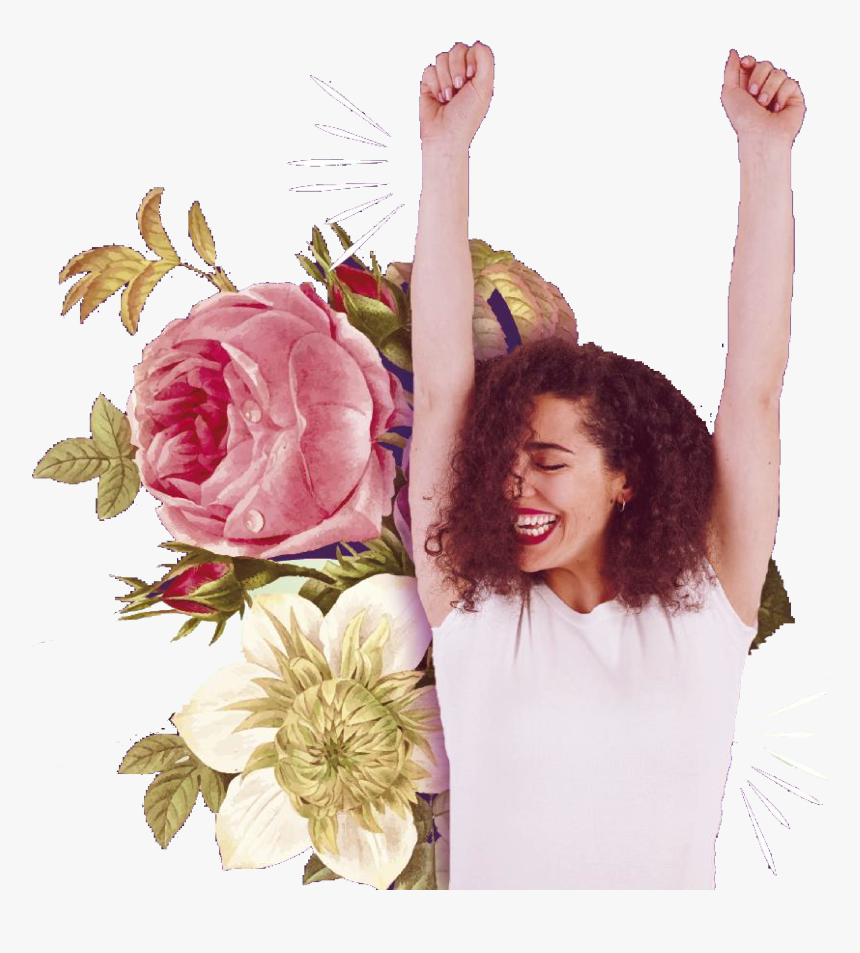 Garden Roses, HD Png Download