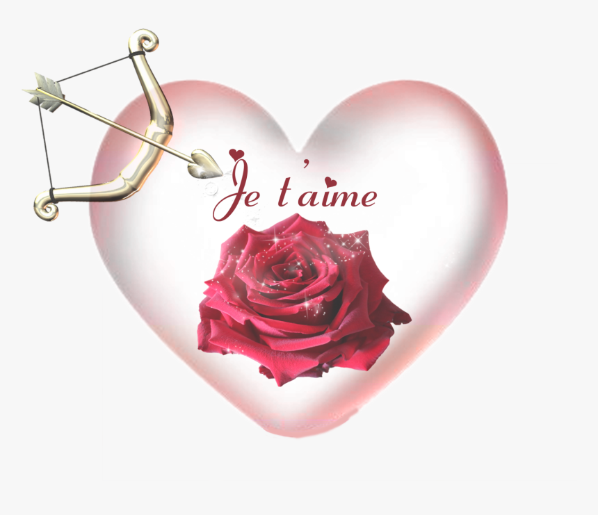 Mes Montages - Garden Roses, HD Png Download